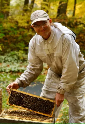 Bee keeper holding up a panel of bee hive and bees. 